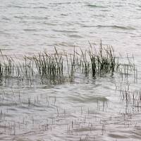 تالاب چغاخور